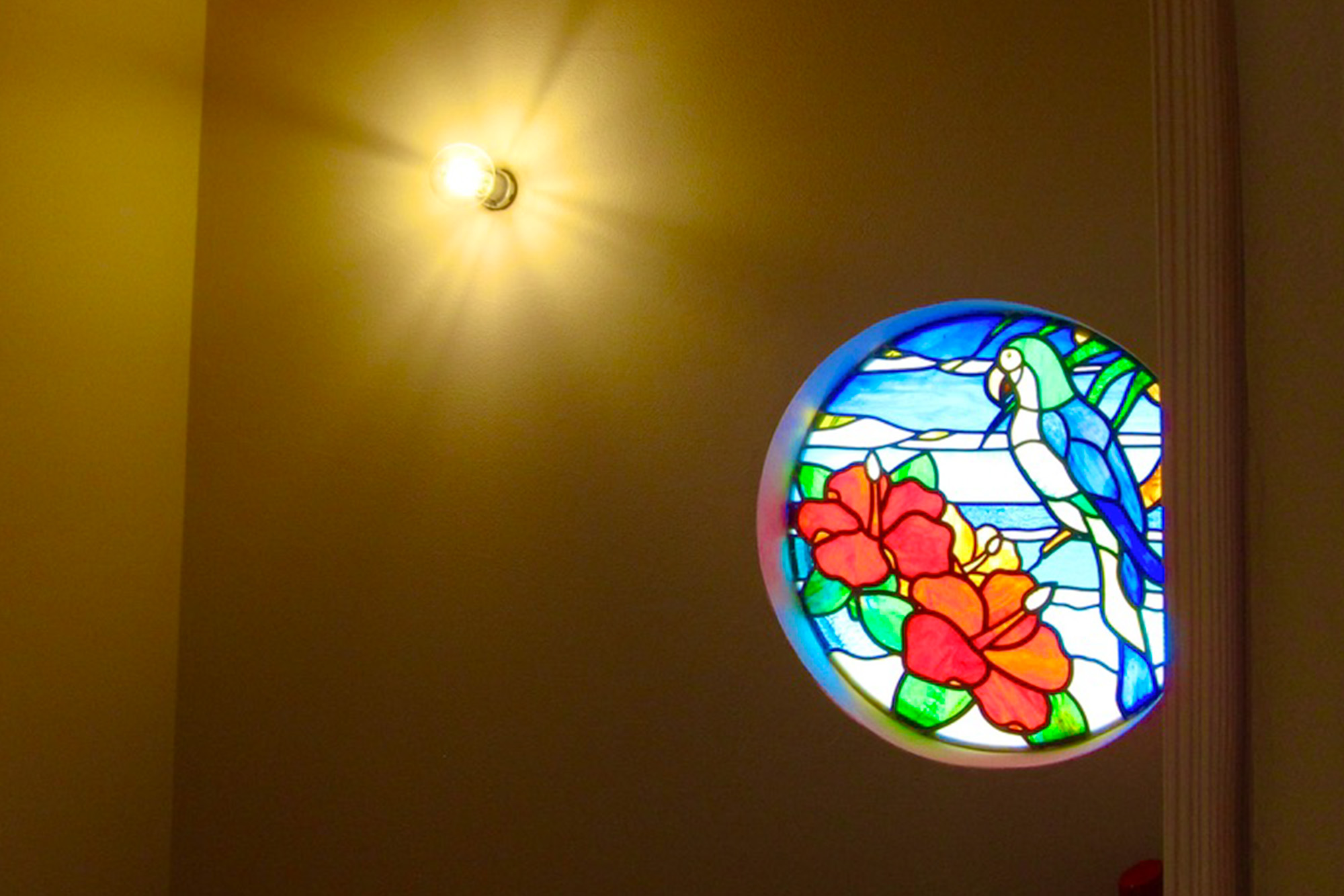 群馬県／円窓のオウム のアイキャッチ画像